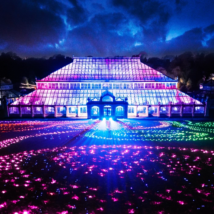 Christmas at Kew light display